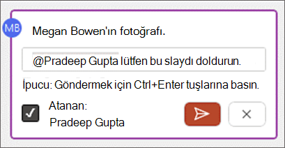 Açıklama gövdesindeki onay kutusuna ata