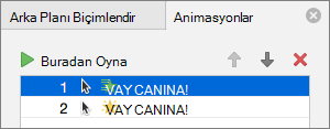 Özellikler bölmesinde animasyon seçeneklerini ayarlayın