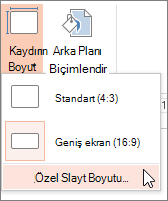 Özel Slayt Boyutu menü seçeneği