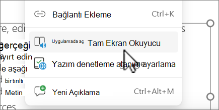 Tam Ekran Okuyucu'da Aç ekran görüntüsü.