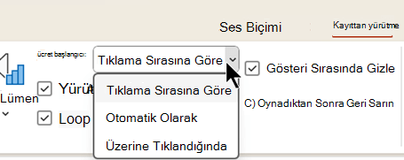 Ses dosyaları için Kayıttan Yürütme sekmesinde, sesin ne zaman çalınmaya başlanacağına ilişkin üç seçenek vardır.