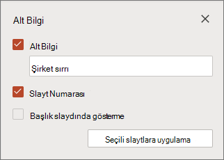 Web için PowerPoint’te seçili slaytların Alt Bilgi bölmesi
