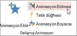 Animasyon Bölmesi'ni açma