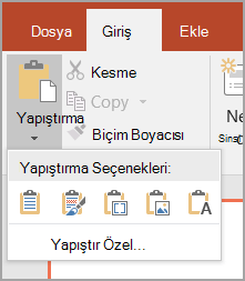 Özel Yapıştır'ı seçin