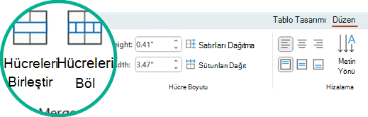 Hücreleri Birleştir ve Hücreleri Böl komutları, PowerPoint'te Düzen sekmesinde bulunur.