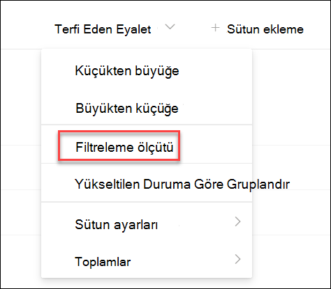Yükseltilen duruma göre filtrele seçeneğinin ekran görüntüsü