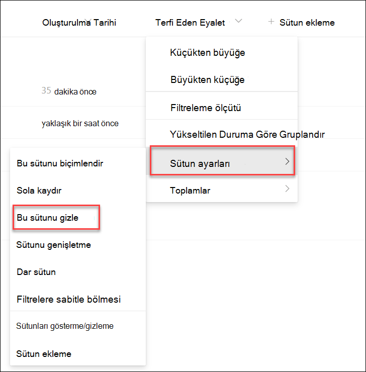 bir sütunu gizleme işleminin ekran görüntüsü