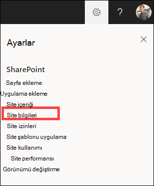 Site bilgilerinin vurgulandığı şekilde açılan Ayarlar paneli.