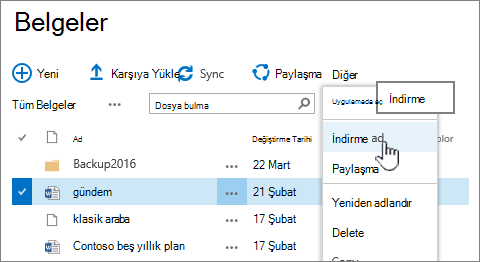 File download option