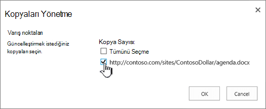 Güncelleştirilecek hedef kopyaları seçin