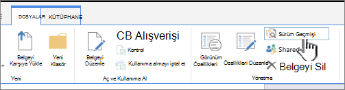 Sürüm Geçmişi’nin vurgulandığı dosya sekmesi
