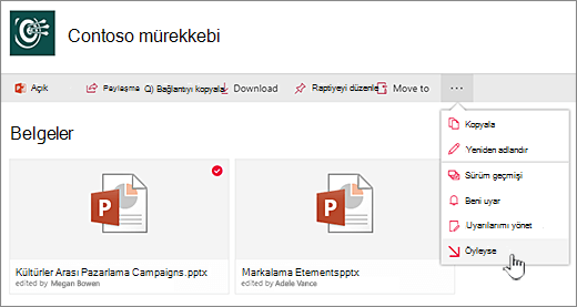 Bir dosya seçin, üst çubuktaki üç noktaya tıklayın ve Kullanıma Al'ı seçin