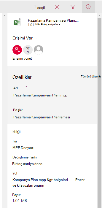 Dosya bilgilerine bakın