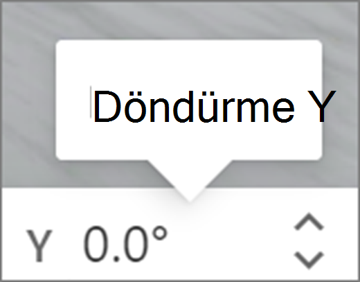 Y