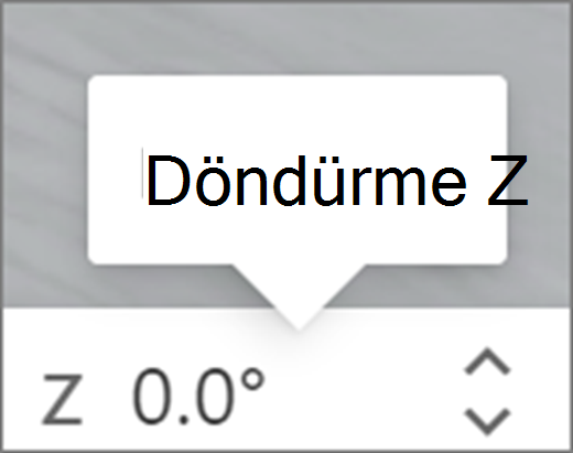 Z