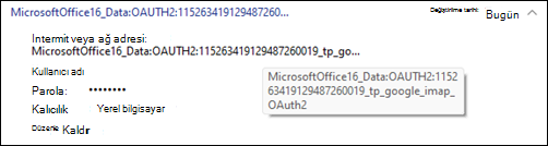 MicrosoftOffice16_Data örneği