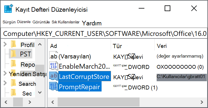 LastCorruptStore'u silmek için kayıt defteri ayarları PromptRepair=dword:00000001