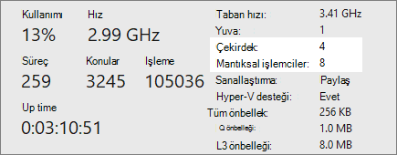 Çekirdekler ve mantıksal işlemciler ekranı