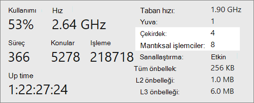 Çekirdekler ve mantıksal işlemciler rapor ekranı.