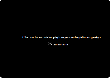 hızlı makine kurtarma-1