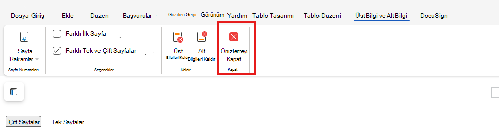 Web'de Üstbilgi ve Altbilgi Önizlemesini Kapatma