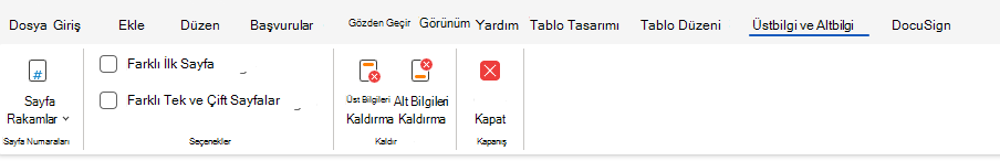 Şeritte Üst Bilgi ve Alt Bilgi Seçenekleri