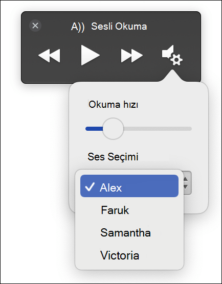 Tam Ekran Okuyucu Sesli Okuma özelliği için dört ses seçimi seçenekleri görüntüleniyor