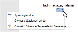 Bir belge üzerinde düzeltilmiş çalışmada Otomatik Düzelt seçenekleri düğmeleri ve menüsü