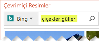Bulmak istediğiniz küçük resmi açıklayan arama terimlerini yazın