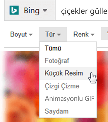 Tür filtresini ve ardından Küçük Resim’i seçin