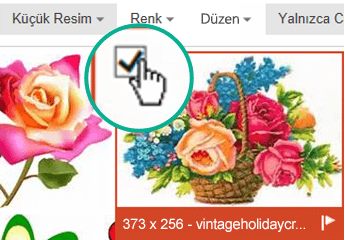 Eklemek istediğiniz resmin küçük resim görüntüsünü seçin. Sol üst köşede bir onay işareti gösterilir.