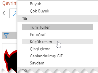 Seçeneklerinizi yalnızca küçük resimleri içerecek şekilde daraltmak için Tür filtresini kullanın