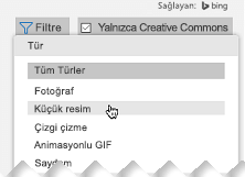Filtre'yi açın ve Tür altında Küçük Resim'i seçin