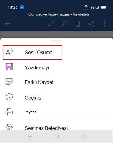 Sesli Oku'ya dokunun