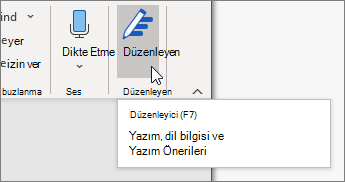 Giriş sekmesinde Düzenleyici’yi seçin veya Düzenleyici bölmesini açmak için F7 tuşuna basın. 