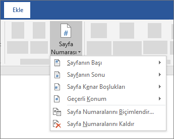 Sayfa numarası ekleme
