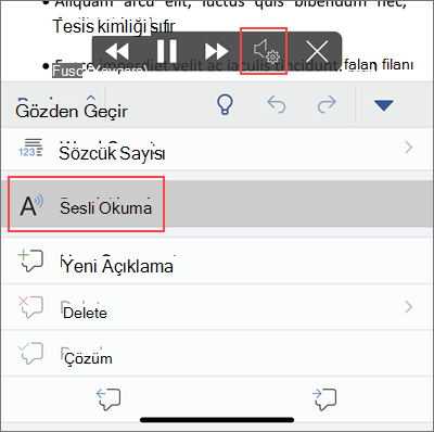 Sesli Oku'ya dokunun