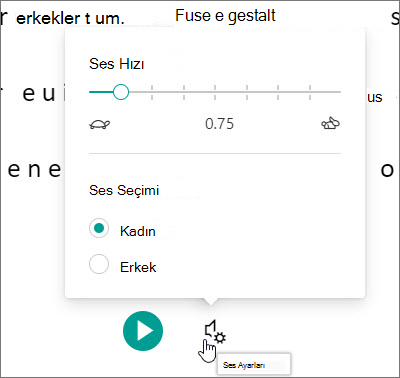 Tam Ekran OkuyucuTam Ekran Okuyucu ses ayarları