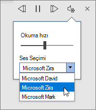 Sesli Okuma ses ayarları