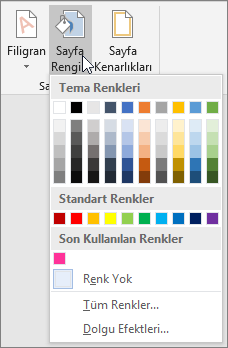 Sayfa Rengi seçenekleri gösterilir
