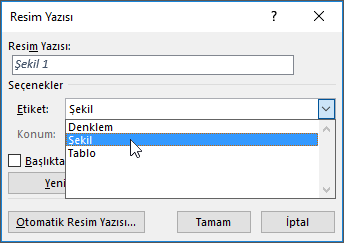 Şekil, tablo veya denklem resim yazılarınızın seçeneklerini ayarlamak için resim yazısı iletişim kutusunu kullanın.