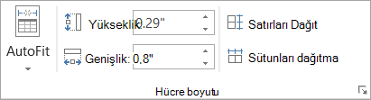 Hücre Boyutu grubundaki seçenekleri gösterir.