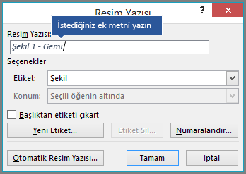 Resim yazınız için istediğiniz özel metni etiket alanına yazın.
