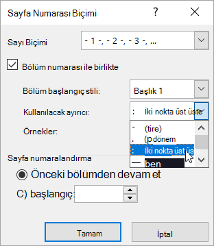 Bölüm numarası stillerini seçme