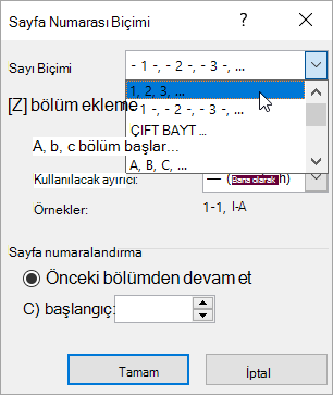 Sayı biçimi seçme