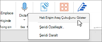 Menüde seçilen Hızlı Erişim Araç Çubuğu'nu göster