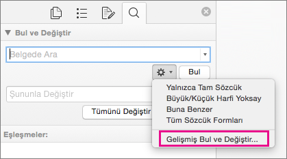 Bul ve Değiştir kutusunda, Gelişmiş Bul ve Değiştir vurgulanmış