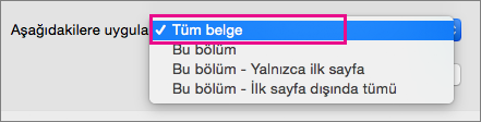 Tüm belge seçeneğinin vurgulandığı Uygulanacağı yer menüsü.
