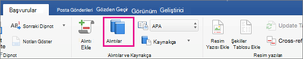 Başvurular sekmesinde Alıntılar vurgulanır.