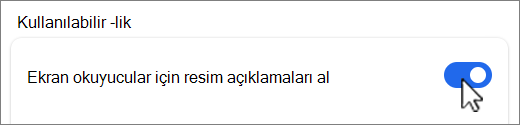 Görüntü açıklamalarını al düğmesi ekran görüntüsü.